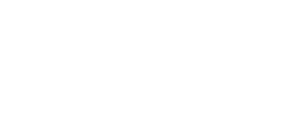 Confindustria    Intellect Associazione 1 livello Confindustria