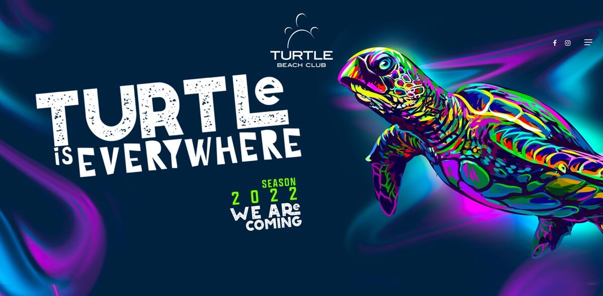 Turtle Beach Website web